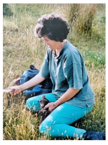 Pōhatu Penguins regenerative Eco-tours. How it started and Shireen’s influence.